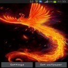 Além do papel de parede animado para Android Natal, baixar do arquivo apk gratuito da imagem de fundo Pássaro de fogo.
