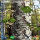 Além do papel de parede animado para Android Sementes de vida, baixar do arquivo apk gratuito da imagem de fundo Borboletas 3D.