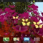 Além do papel de parede animado para Android Tempestade de Primavera , baixar do arquivo apk gratuito da imagem de fundo Borboletas.