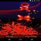 Além do papel de parede animado para Android Rosa vermelha , baixar do arquivo apk gratuito da imagem de fundo Borboletas e flores 3D.
