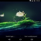 Além do papel de parede animado para Android Vaga-lumes , baixar do arquivo apk gratuito da imagem de fundo Flor do cacto.