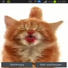 Além do papel de parede animado para Android Super relógio, baixar do arquivo apk gratuito da imagem de fundo Gato lambendo a tela.