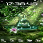 Baixar Jardim céltico HD para Android, bem como dos outros papéis de parede animados gratuitos para BlackBerry Leap.