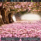 Além do papel de parede animado para Android Vivo, baixar do arquivo apk gratuito da imagem de fundo Flor de cerejeira.