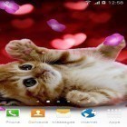 Além do papel de parede animado para Android Dia dos namorados: Velas, baixar do arquivo apk gratuito da imagem de fundo Animais bonitos.