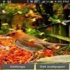 Além do papel de parede animado para Android Hamster engraçado: Tela rachada, baixar do arquivo apk gratuito da imagem de fundo Pássaros bonitos.