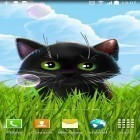 Além do papel de parede animado para Android Gato na caixa, baixar do arquivo apk gratuito da imagem de fundo Gatinho bonitinho.