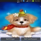 Além do papel de parede animado para Android Dinheiro, baixar do arquivo apk gratuito da imagem de fundo Cachorrinho bonito.