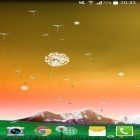 Além do papel de parede animado para Android Sistema solar , baixar do arquivo apk gratuito da imagem de fundo Dente de leão.