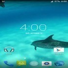 Além do papel de parede animado para Android Flores de néon 2, baixar do arquivo apk gratuito da imagem de fundo Golfinhos HD.