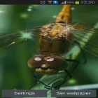 Além do papel de parede animado para Android Vaga-lumes , baixar do arquivo apk gratuito da imagem de fundo Libélula.