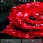 Além do papel de parede animado para Android Bandeira 3D de Rússia, baixar do arquivo apk gratuito da imagem de fundo Gotas e rosas.