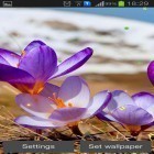 Além do papel de parede animado para Android Aquário , baixar do arquivo apk gratuito da imagem de fundo Início da primavera.