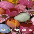Além do papel de parede animado para Android Lótus bonito, baixar do arquivo apk gratuito da imagem de fundo Ovos de Páscoa.