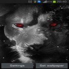 Além do papel de parede animado para Android Fogo , baixar do arquivo apk gratuito da imagem de fundo Olhos de leão .