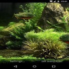 Além do papel de parede animado para Android Rosa macro, baixar do arquivo apk gratuito da imagem de fundo Aquário de peixes 3D.