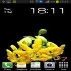 Além do papel de parede animado para Android Água verdadeira, baixar do arquivo apk gratuito da imagem de fundo Botão de flor.