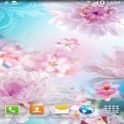 Além do papel de parede animado para Android Flores de Sakura caindo, baixar do arquivo apk gratuito da imagem de fundo Flores por Papel de parede vivo 3D.