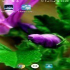Além do papel de parede animado para Android Onda de água, baixar do arquivo apk gratuito da imagem de fundo Vida de flores.