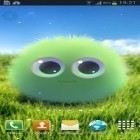 Além do papel de parede animado para Android Golfinho azul , baixar do arquivo apk gratuito da imagem de fundo Fofo Chu.