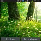 Além do papel de parede animado para Android Árvores floridas, baixar do arquivo apk gratuito da imagem de fundo Floresta.