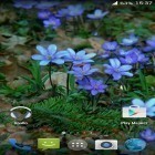 Além do papel de parede animado para Android Arco-íris, baixar do arquivo apk gratuito da imagem de fundo Flores da floresta.
