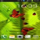 Baixar Insetos amigáveis para Android, bem como dos outros papéis de parede animados gratuitos para HTC Desire 500.