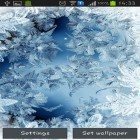Além do papel de parede animado para Android Dente de leão, baixar do arquivo apk gratuito da imagem de fundo Vidro congelado.