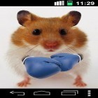 Além do papel de parede animado para Android Queda de neve, baixar do arquivo apk gratuito da imagem de fundo Hamster engraçado: Tela rachada.