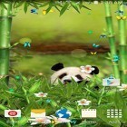 Além do papel de parede animado para Android Corações roxos, baixar do arquivo apk gratuito da imagem de fundo Panda engraçado.
