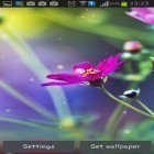 Além do papel de parede animado para Android Color brilhante, baixar do arquivo apk gratuito da imagem de fundo Chuva engraçada.