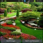 Além do papel de parede animado para Android Gotas em tulipas, baixar do arquivo apk gratuito da imagem de fundo Jardim.