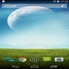 Além do papel de parede animado para Android Flores do verão, baixar do arquivo apk gratuito da imagem de fundo Campo verde.