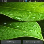 Além do papel de parede animado para Android Gotas de água, baixar do arquivo apk gratuito da imagem de fundo Folhas verdes.