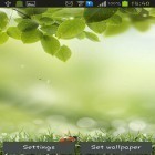 Além do papel de parede animado para Android Romântico das chuvas, baixar do arquivo apk gratuito da imagem de fundo Primavera verde.