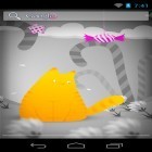 Além do papel de parede animado para Android Praia, baixar do arquivo apk gratuito da imagem de fundo Gato Hamlet.