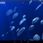 Além do papel de parede animado para Android Flores brilhantes, baixar do arquivo apk gratuito da imagem de fundo Águas-vivas 3D.