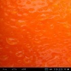Além do papel de parede animado para Android Romântico das chuvas, baixar do arquivo apk gratuito da imagem de fundo Suculento.
