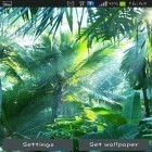 Além do papel de parede animado para Android Terra de Papel pró, baixar do arquivo apk gratuito da imagem de fundo Selva.