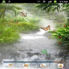 Além do papel de parede animado para Android Orquídea , baixar do arquivo apk gratuito da imagem de fundo Selva.
