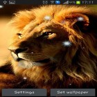 Além do papel de parede animado para Android Pôr do sol africano , baixar do arquivo apk gratuito da imagem de fundo Leões.