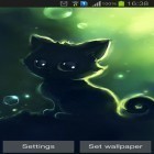 Além do papel de parede animado para Android Meteoros, baixar do arquivo apk gratuito da imagem de fundo Gatinho preto solitário.