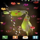 Além do papel de parede animado para Android Fluxo Digital , baixar do arquivo apk gratuito da imagem de fundo Amor: Aves.