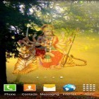 Além do papel de parede animado para Android Lâmpada de iluminação, baixar do arquivo apk gratuito da imagem de fundo Magia de Durga e templo.