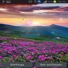 Além do papel de parede animado para Android Por do sol da primavera, baixar do arquivo apk gratuito da imagem de fundo Flor de montanha.