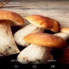 Além do papel de parede animado para Android Terra e Lua em giroscópio 3D, baixar do arquivo apk gratuito da imagem de fundo Cogumelos.