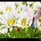 Além do papel de parede animado para Android Matriz digital, baixar do arquivo apk gratuito da imagem de fundo Minha flor.