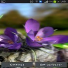 Além do papel de parede animado para Android Foto FX, baixar do arquivo apk gratuito da imagem de fundo Natureza ao vivo: Flores de Primavera 3D.