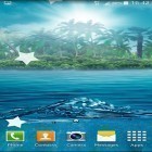 Além do papel de parede animado para Android Cereja em flor , baixar do arquivo apk gratuito da imagem de fundo Oceano.