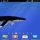 Além do papel de parede animado para Android Super moto, baixar do arquivo apk gratuito da imagem de fundo Oceano: Baleia.